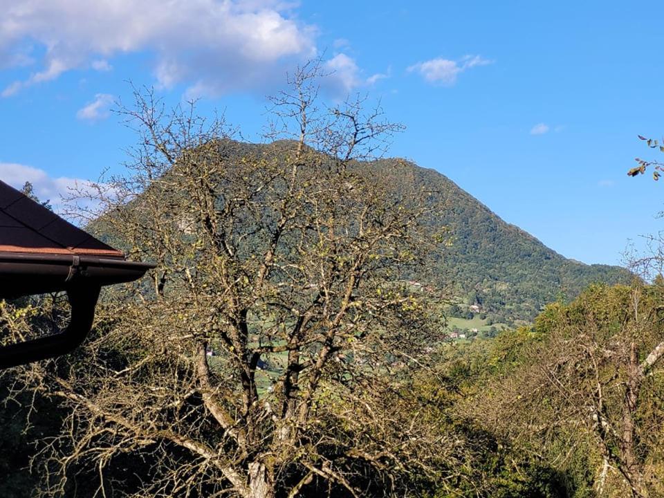 Turisticna Kmetija Kunstek Villa Rogatec Kültér fotó