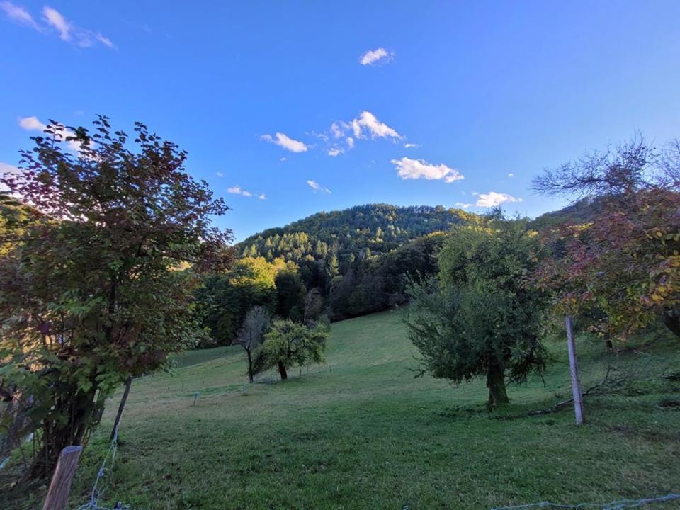 Turisticna Kmetija Kunstek Villa Rogatec Kültér fotó